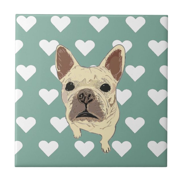 cachorro de Bulldog Francês (Frente)