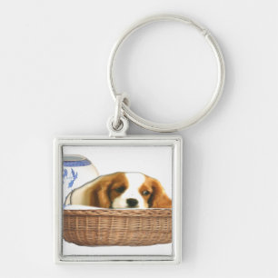 Cachorro de cachorrinho Chaveiro