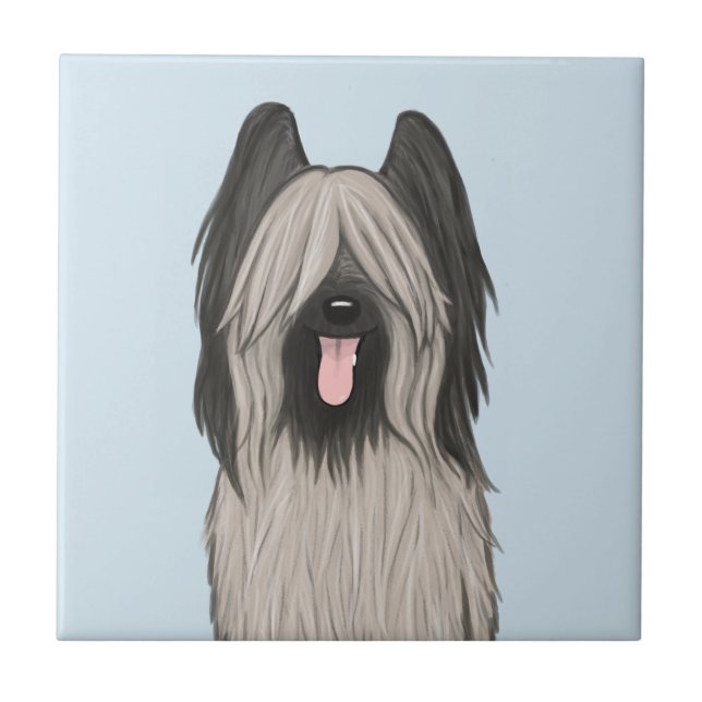 Cachorro de Cartoon Briard (Frente)
