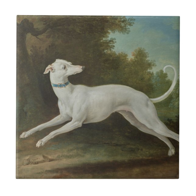 Cachorro de Greyhound Branco (por Jean-Baptiste Ou (Frente)