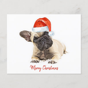Cachorro de Natal Cachorro de Cachorro 
