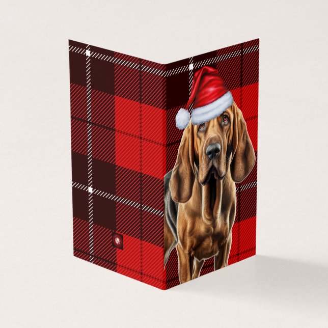 Cachorro de Natal com Xadrez de Feriado Vermelho (Exterior)