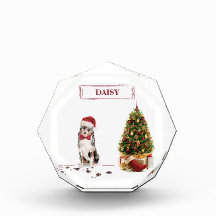 Cachorro de Natal Engraçado com Pastor Australiano