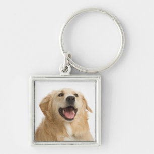 Cachorro de Ouro Chaveiro do Retriever do Amor