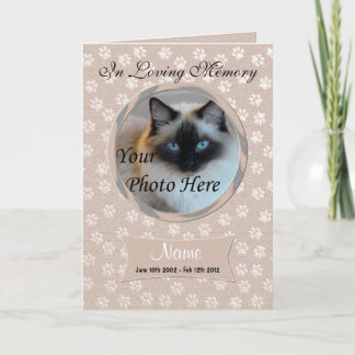 Cachorro de Perda de Pet ou Anúncio do Memorial de