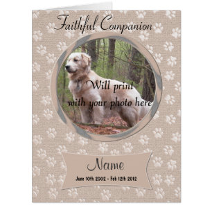 Cachorro de Perda de Pet ou Anúncio do Memorial de