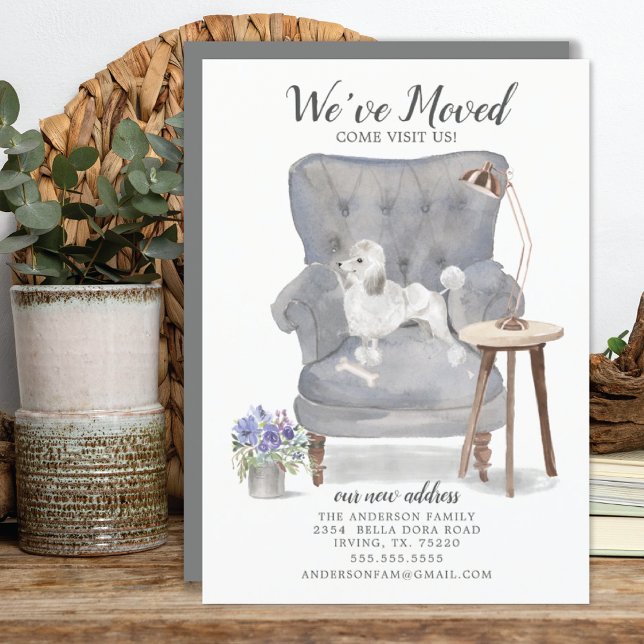 Cachorro de Poodle Branco | Anúncio de mudança (Criador carregado)