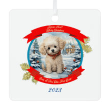 Cachorro de Poodle de Natal