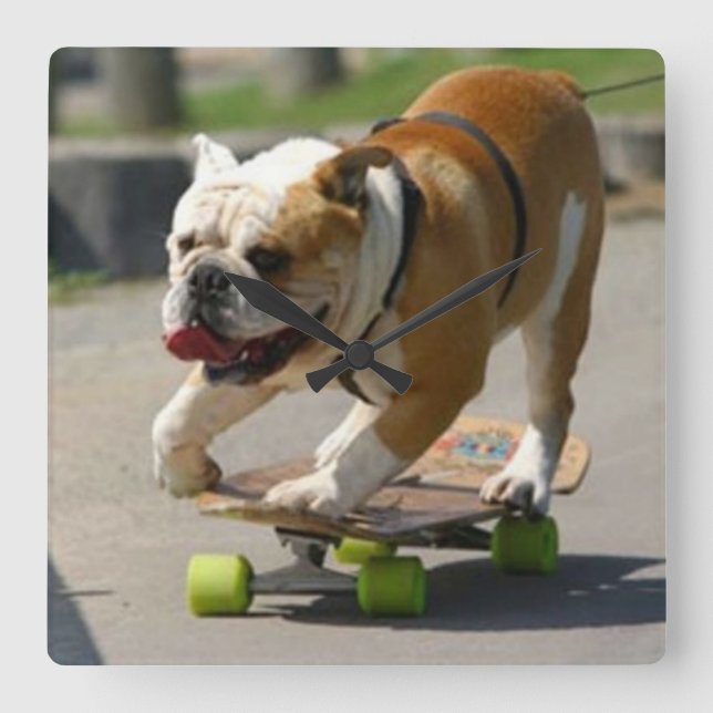 Cachorro de skater - Relógio de parede (Frente)