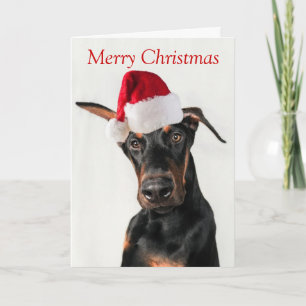 Cachorro doberman com cartão de Natal Santa Hat