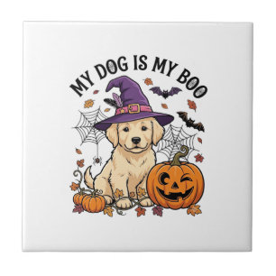 Cachorro É Boo Halloween Bruxa Filhote Abóbora_1