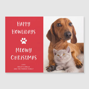 Cachorro e Gato Engraçado com Foto Feriado de Na