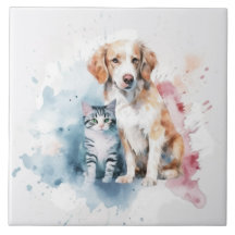 Cachorro e Gato Melhores Amigos