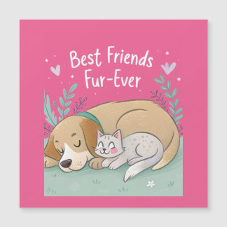 Cachorro e Gato Melhores Amigos Para Sempre