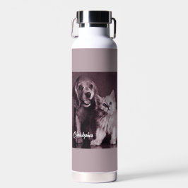 Cachorro e Gato, Procurando Personalizado