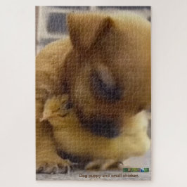 Cachorro e quebra-cabeça de galinha.