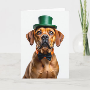 Cachorro Em Um Chapéu Cartão Incrível