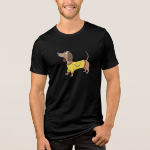 Cachorro engraçado