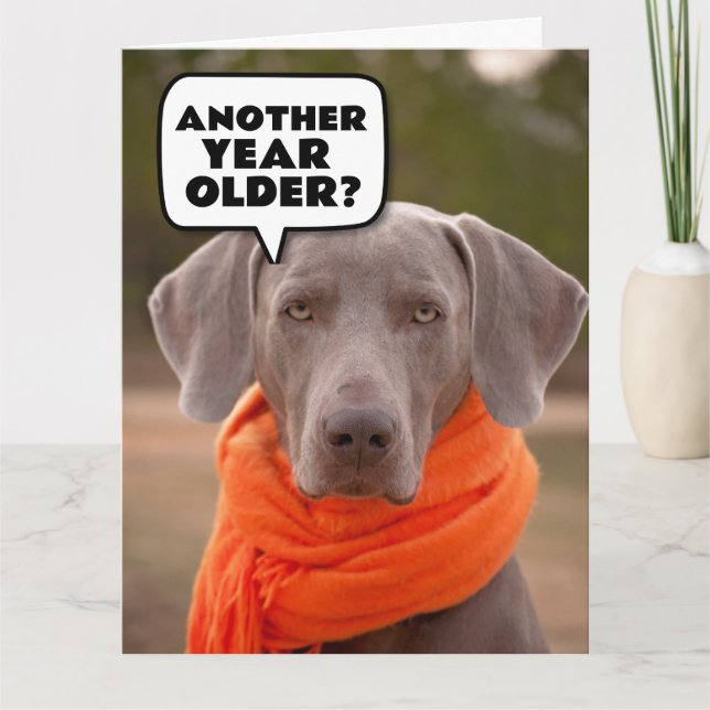 CACHORRO ENGRAÇADO CARTÕES DE ACOLHIMENTO NO ANIVE (Frente)