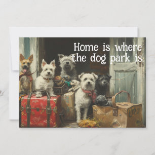 Cachorro Engraçado Movendo Novo Anúncio de Endereç