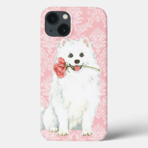 Cachorro Eskimo Americano namorados