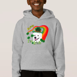 Cachorro Eskimo Americano St Patricks