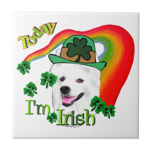 Cachorro Eskimo Americano St Patricks (Frente)