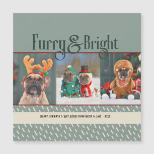 Cachorro Felpudo e Radiante Cartão Postal de Natal