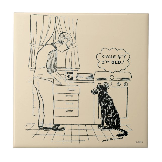 Cachorro ficando velho (Frente)