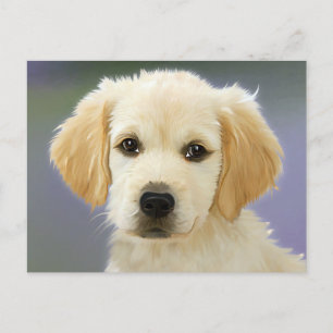 Cachorro Filhote Golden Retriever Cartão Postal Pi