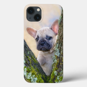 Cachorro francês bonito colocando em um galho
