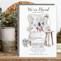 Cachorro Francês Que Mudamos O Anúncio Em Moviment