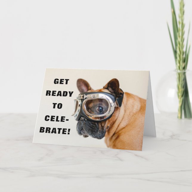 Cachorro Gato Adicione Nome ou Cartão de Aniversár (Frente)