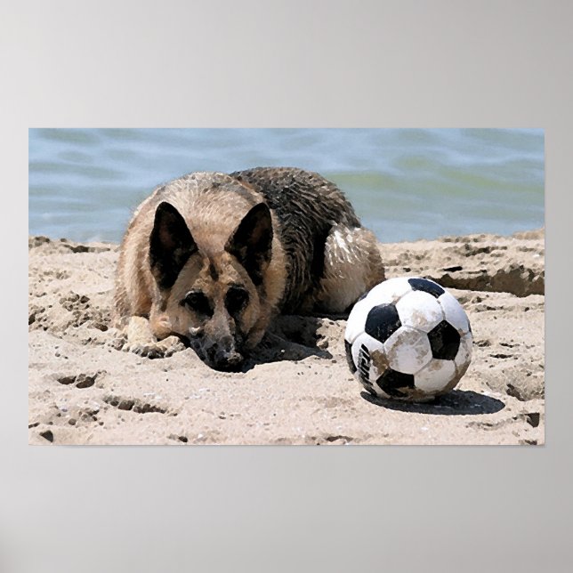 Cachorro german shepherd Com Poster De Bola De Fut (Frente)