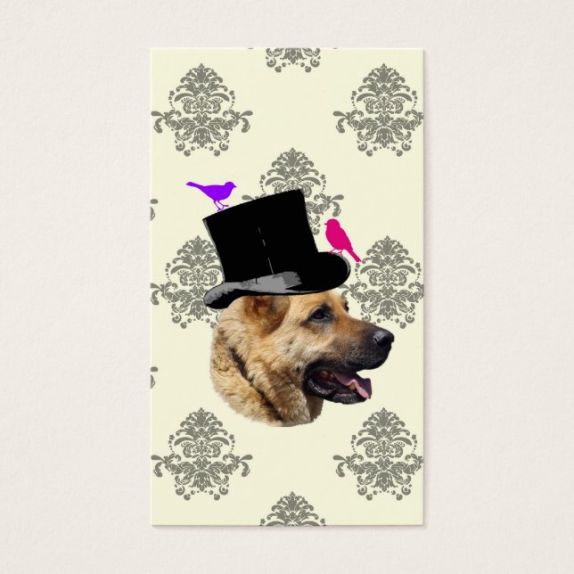 Cachorro German shepherd engraçado (Frente)