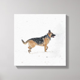 Cachorro German shepherd Resgatado Feliz Na Canvas
