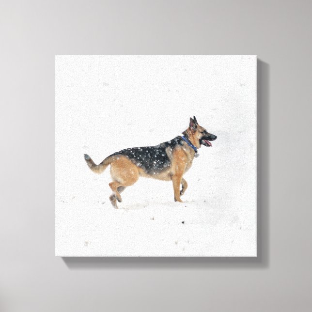 Cachorro German shepherd Resgatado Feliz Na Canvas (Frente)