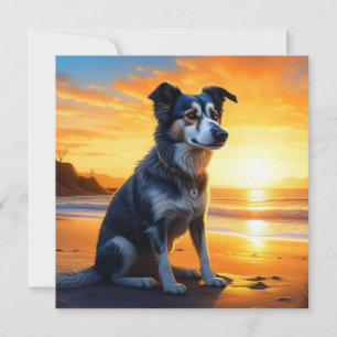 Cachorro giro na praia ao sol