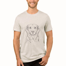 Cachorro Golden Retriever Moderno Minimalista Arte