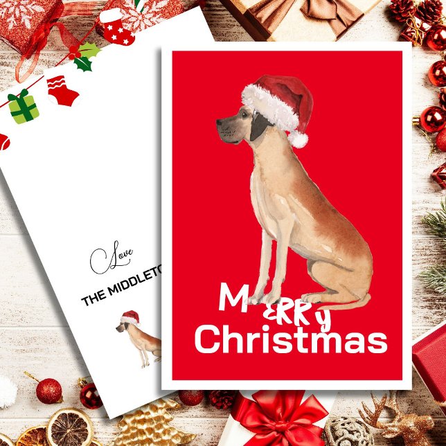 Cachorro Grande Dane Engraçado Chapéu de Natal de  (Criador carregado)