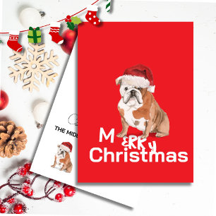 Cachorro Inglês em Santa Chapéu Feliz Natal Vermel