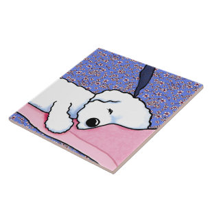 Cachorro KiniArt Cachorado Bichon