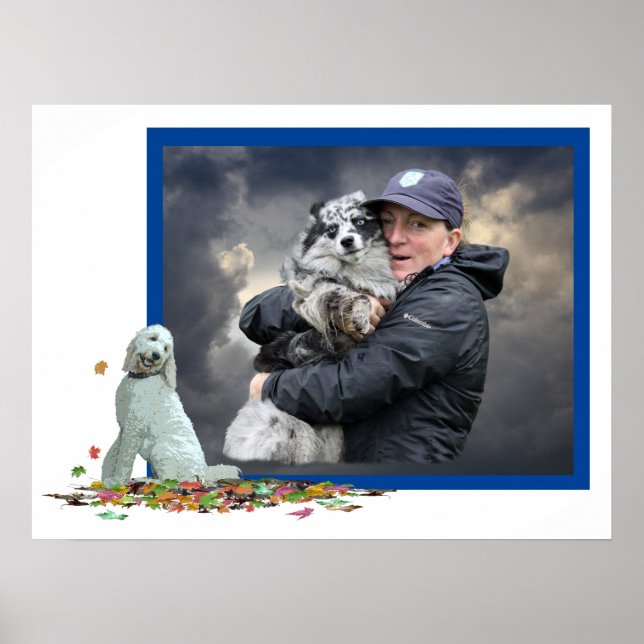 Cachorro Labradoodle Em Folhas Poster (Frente)