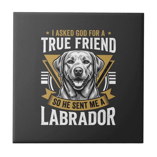 Cachorro Labrador Amigo Verdadeiro (Frente)