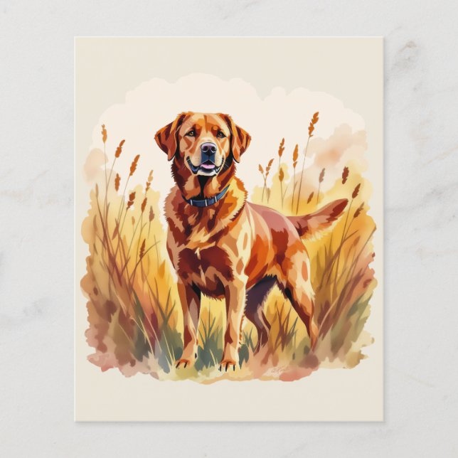 Cachorro Labrador Retriever Fox Red (Frente)