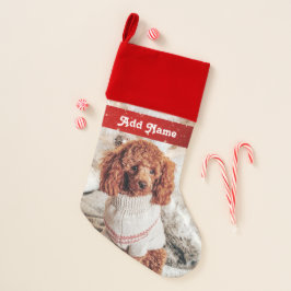 Cachorro marrom personalizado em um suéter