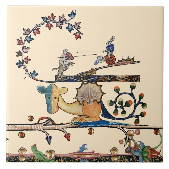 Cachorro MEDIEVE ESTRANHO, Coelho Assassino, Dragã (Frente)