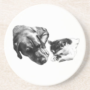 Cachorro monocromático e Porta copos de gatos