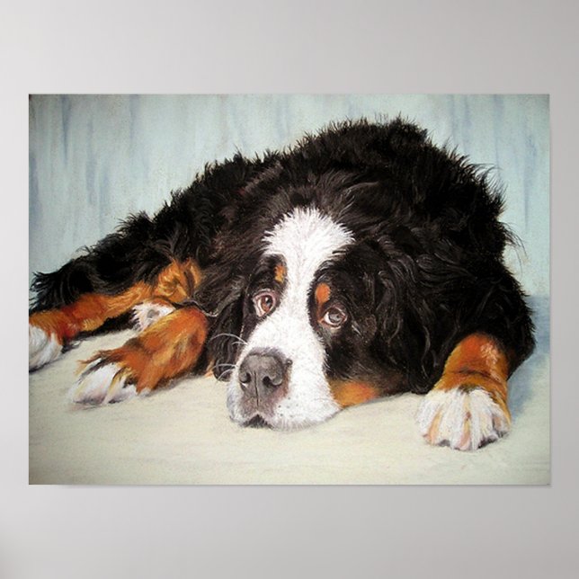 Cachorro-Montanha Bernese - Poster Impressão (Frente)