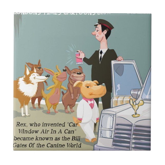 Cachorro Muito Rico Engraçado (Frente)